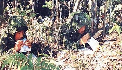 国产野战在线,在线战场风云再起