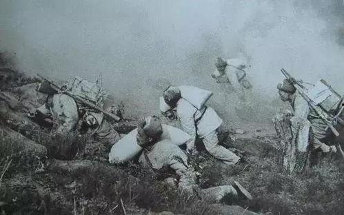 国产野战在线,在线战场风云再起