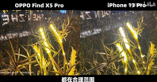 青青青草国产视频,国产视频中的青春记忆与成长轨迹