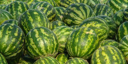 娱乐吃瓜酱特殊人群,吃瓜酱视角下的特殊人群众生相